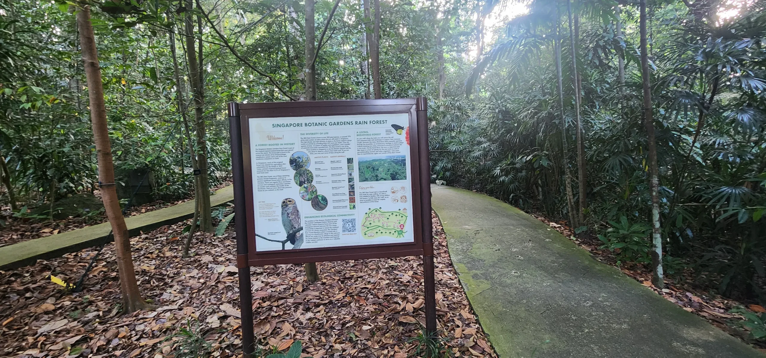 Rain forest sign and path at Singapore Botanic Gardens