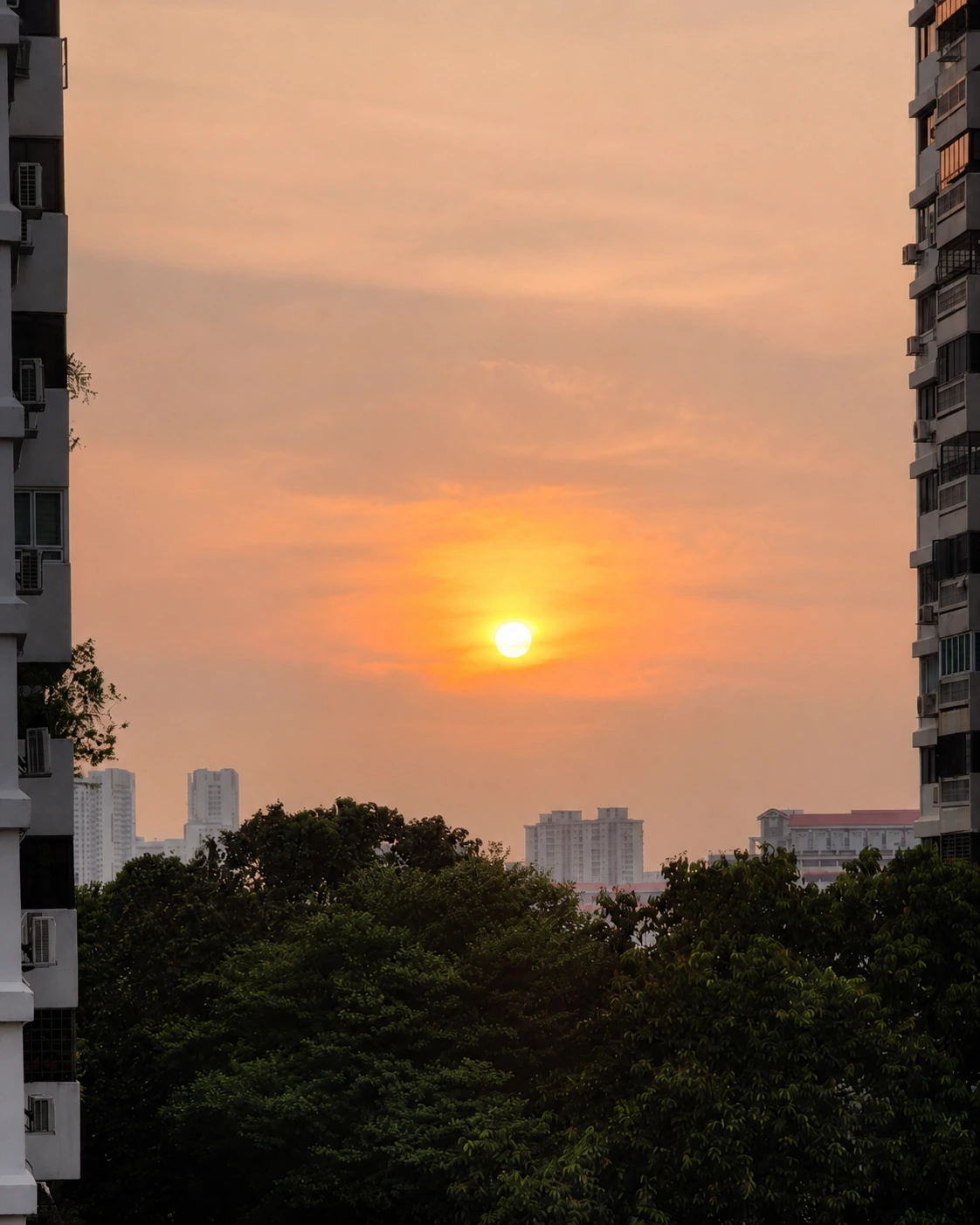 Quiet sunrise over a Singapore neighbourhood, symbolising hope, reflection and the fragility of life during a season of healthcare visits.