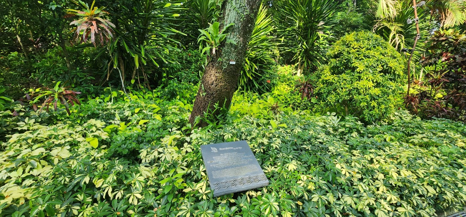 Tropical greenery at Gardens by the Bay Singapore