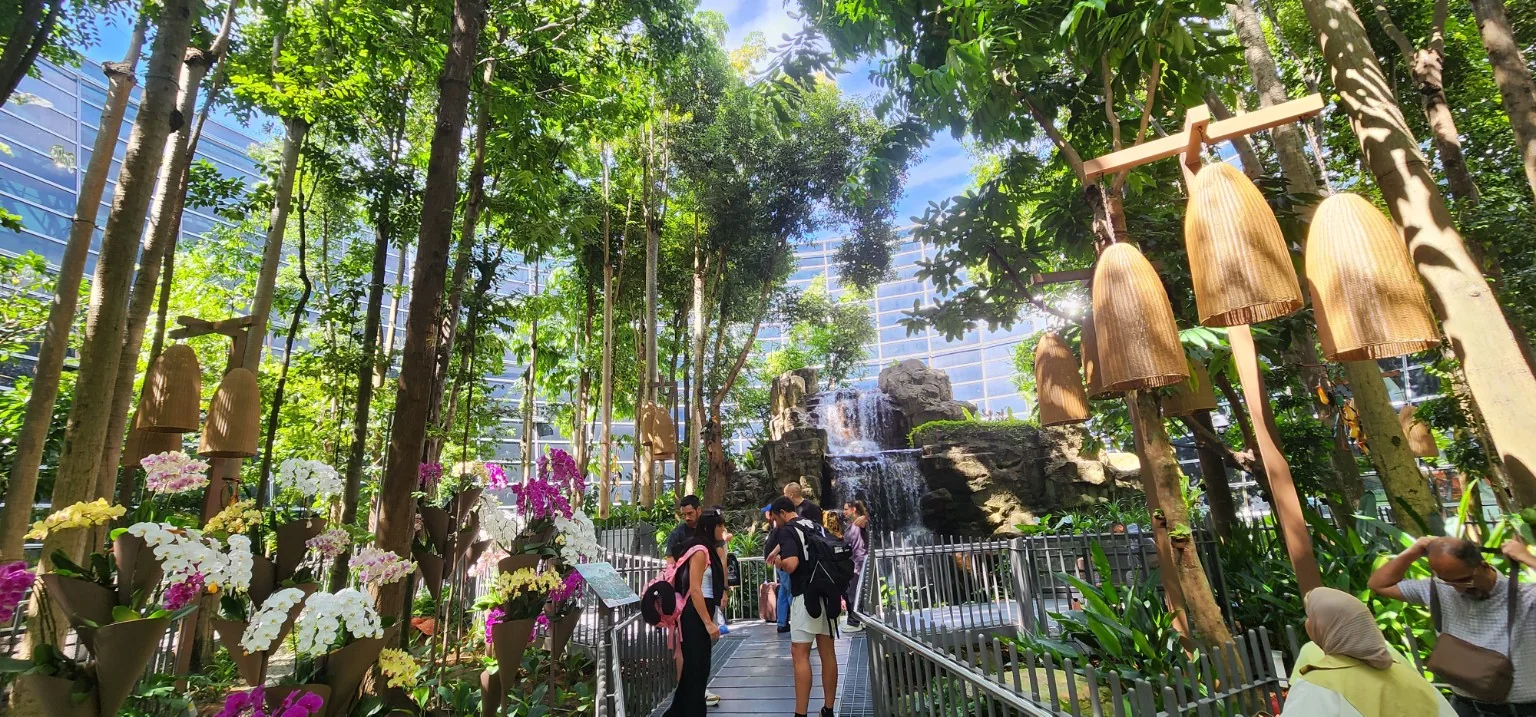 Greenery observed during Kuala Lumpur journey